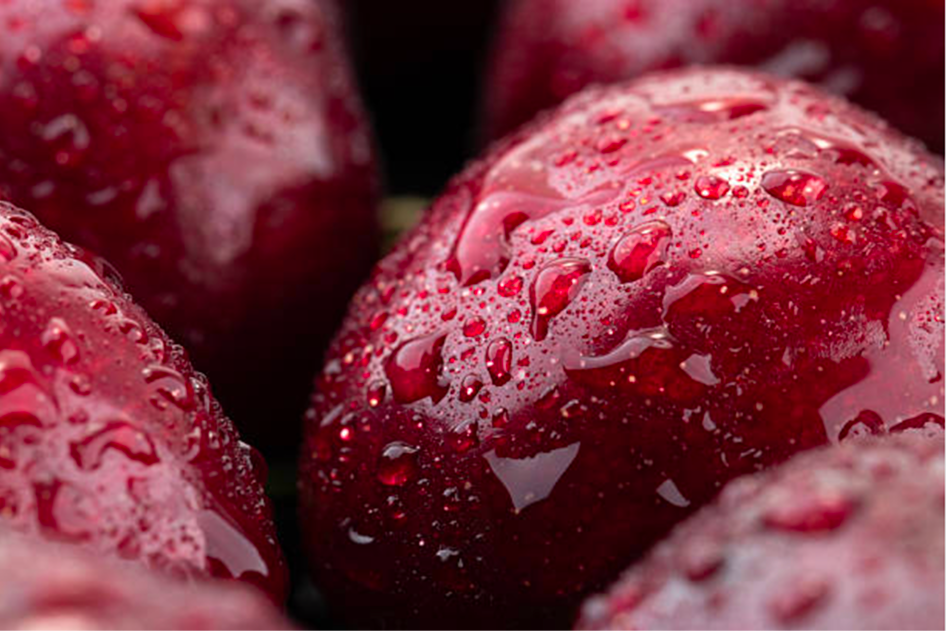 Close-up of fresh, ripe red cherries covered in water droplets, illustrating moisture and temperature control in fresh produce logistics
